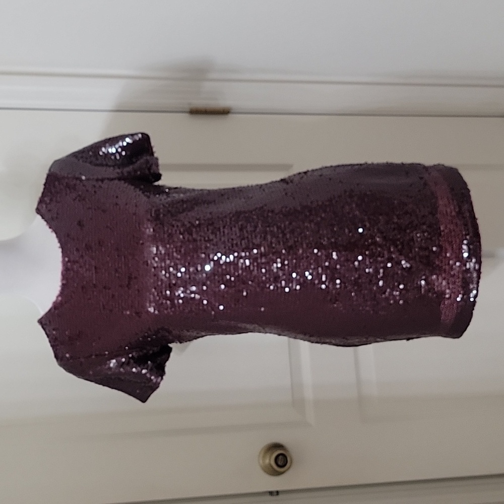 Kittenish Size S Burgundy / Wine Colored Sequin Mini Dress Gently Used Condition